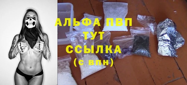 прущие грибы Магадан