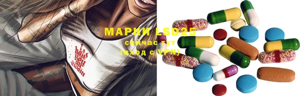 прущие грибы Магадан