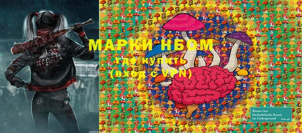 прущие грибы Магадан