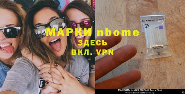 прущие грибы Магадан