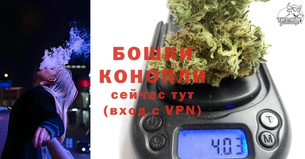 прущие грибы Магадан
