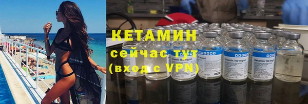 прущие грибы Магадан