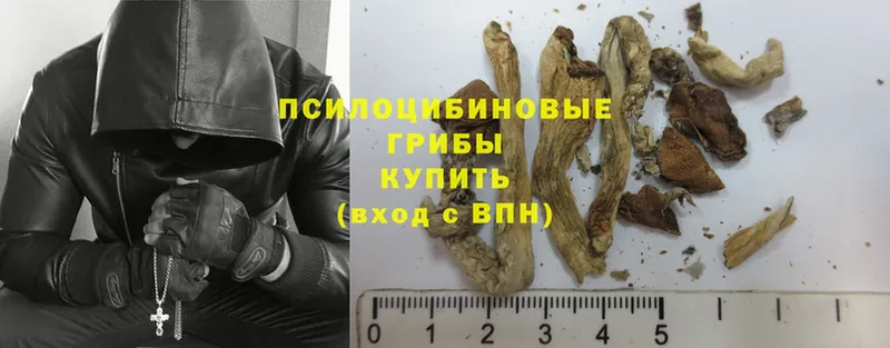 это как зайти  Железногорск  Псилоцибиновые грибы Magic Shrooms  купить  