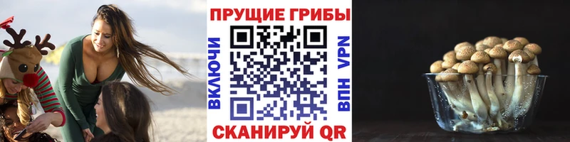 Псилоцибиновые грибы Cubensis mega зеркало Железногорск