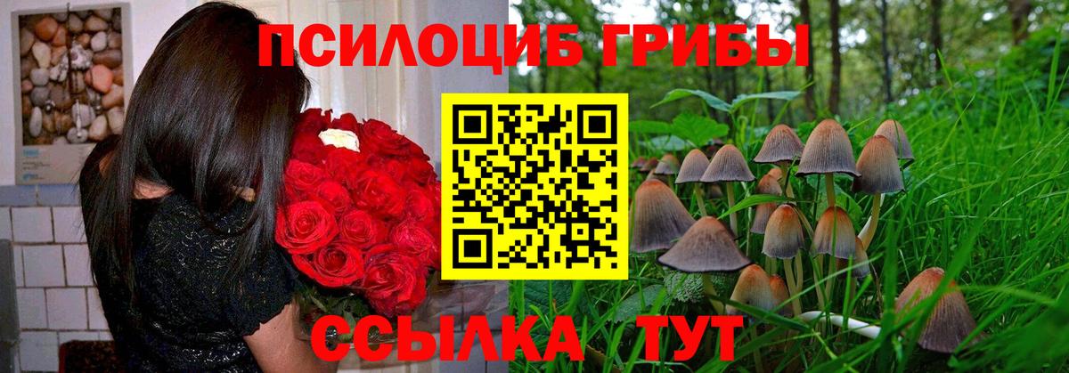 Железногорск  Галлюциногенные грибы Psilocybe  цена наркотик  Вход с VPN  Псилоцибиновые грибы мухоморы 