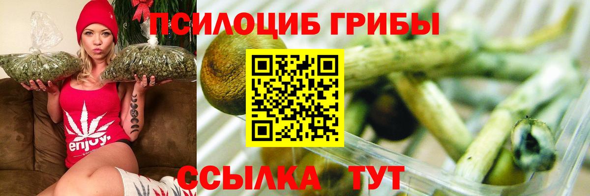 Галлюциногенные грибы GOLDEN TEACHER  Железногорск 